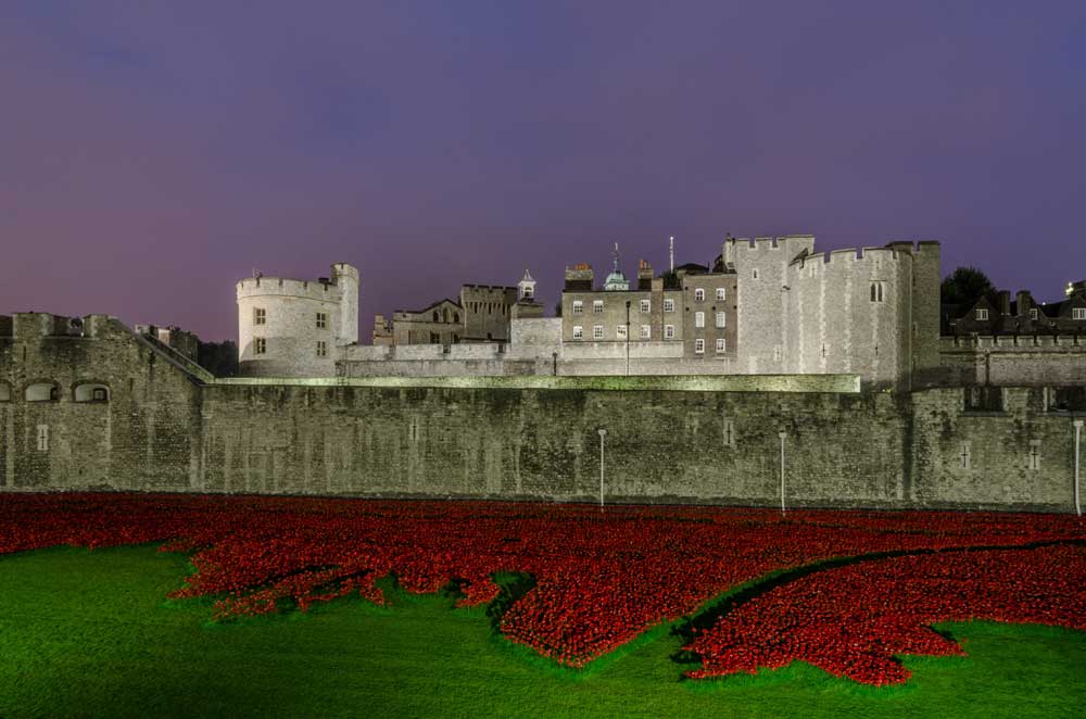 Architectural London - The Remembrance Poppies at the Tower of London (#ARCH_LONDON_18)