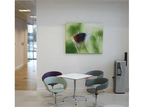 Light Burst - Untitled (#BARBOSA_RA_2006)