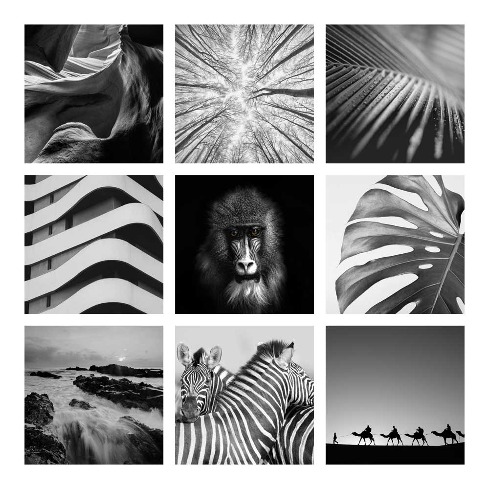 Colour Montages - Classic Black & White (#CM_04)