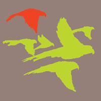 Paper Alligator - Red Parrot (#AA_CUNNINGHAM_L_4004)