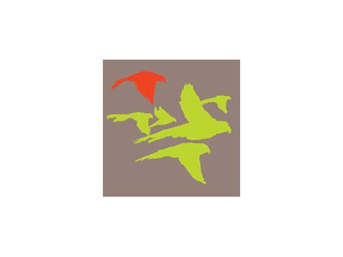 Paper Alligator - Red Parrot (#AA_CUNNINGHAM_L_4004)