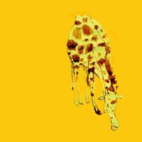 Paper Alligator - Giraffe (#AA_CUNNINGHAM_L_4005)