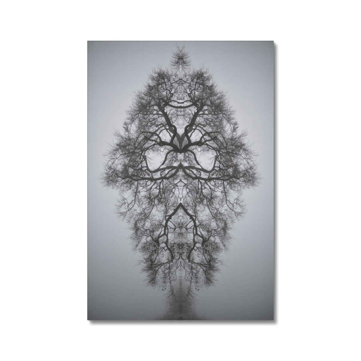 Distracturals - Heath Trees No1 Series #5, Hampstead Heath, North London (#DISTR_03)