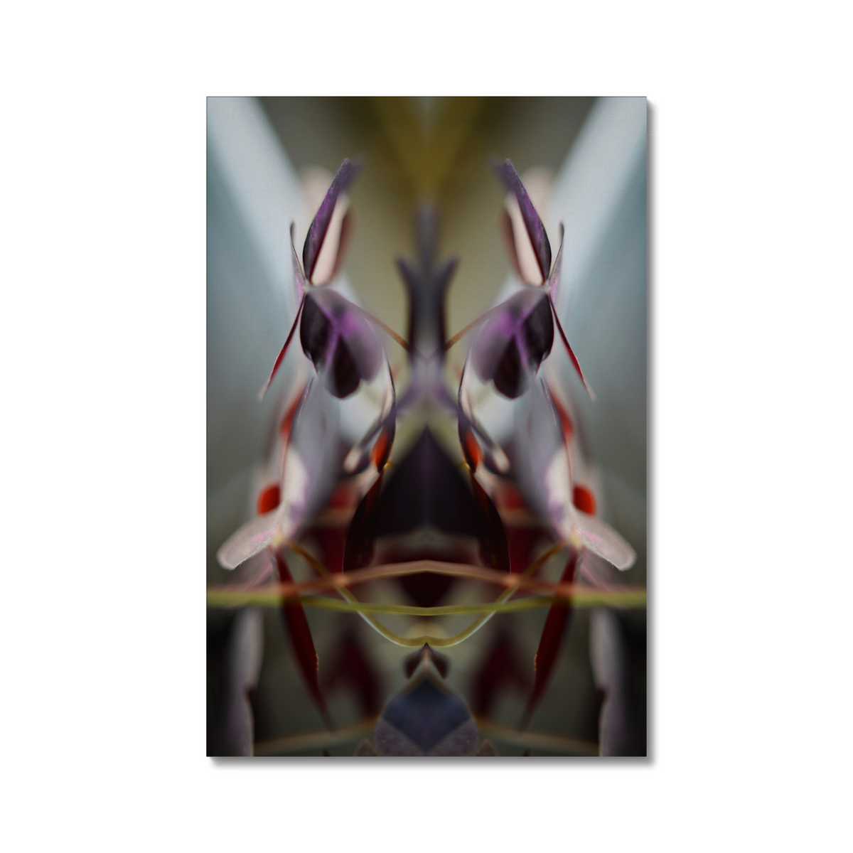 Distracturals - Oxalis No1 Series #2, Clapton, East London (#DISTR_10)