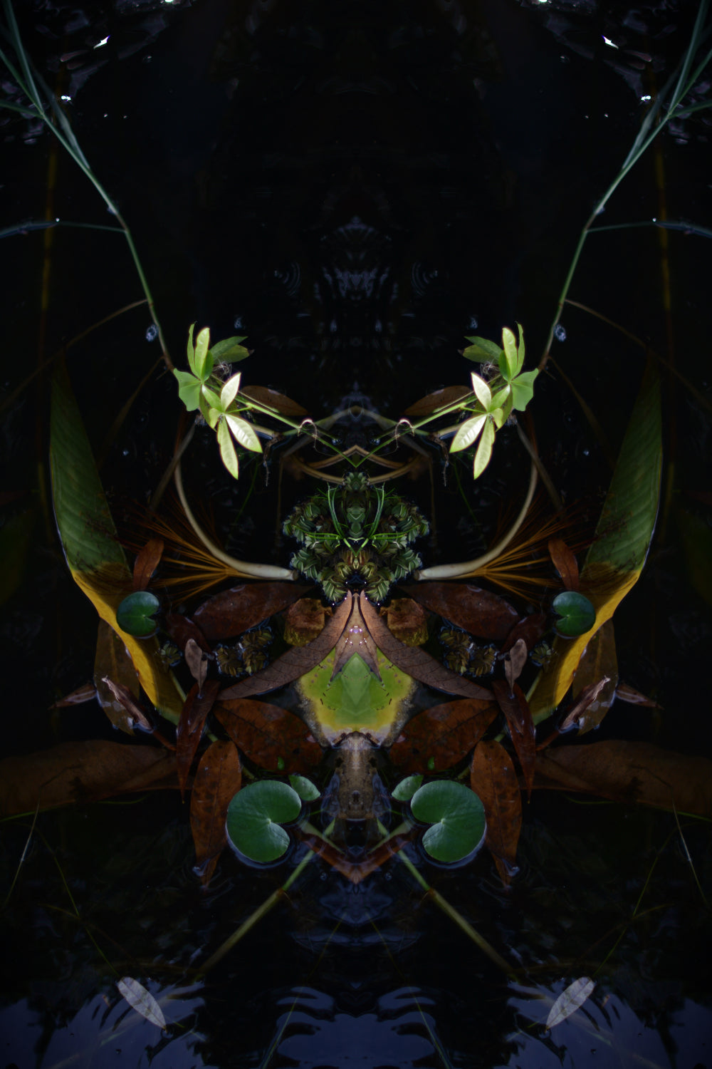 Distracturals - Water No1 series #2, Lake Nicaragua, Nicaragua (#DISTR_12)