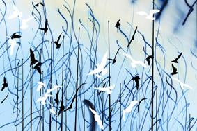 Flight Lines (Perspex) - Untitled (#FLIGHT_LINES_01P)