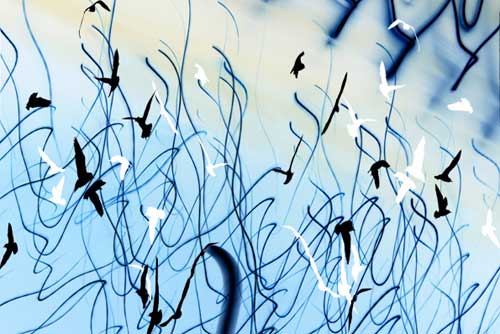 Flight Lines - Untitled (#AA_FLIGHT_LINES_03b)