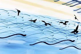 Flight Lines (Perspex) - Untitled (#FLIGHT_LINES_04P)