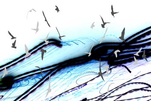 Flight Lines - Untitled (#AA_FLIGHT_LINES_08)