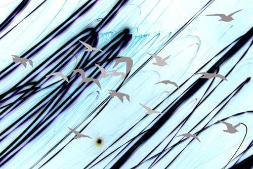 Flight Lines - Untitled (#AA_FLIGHT_LINES_09)