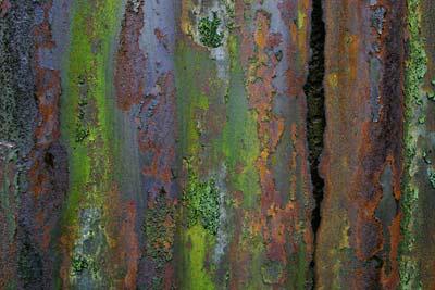 Closer - Macro 08 (#GOODYEAR_D_1008)