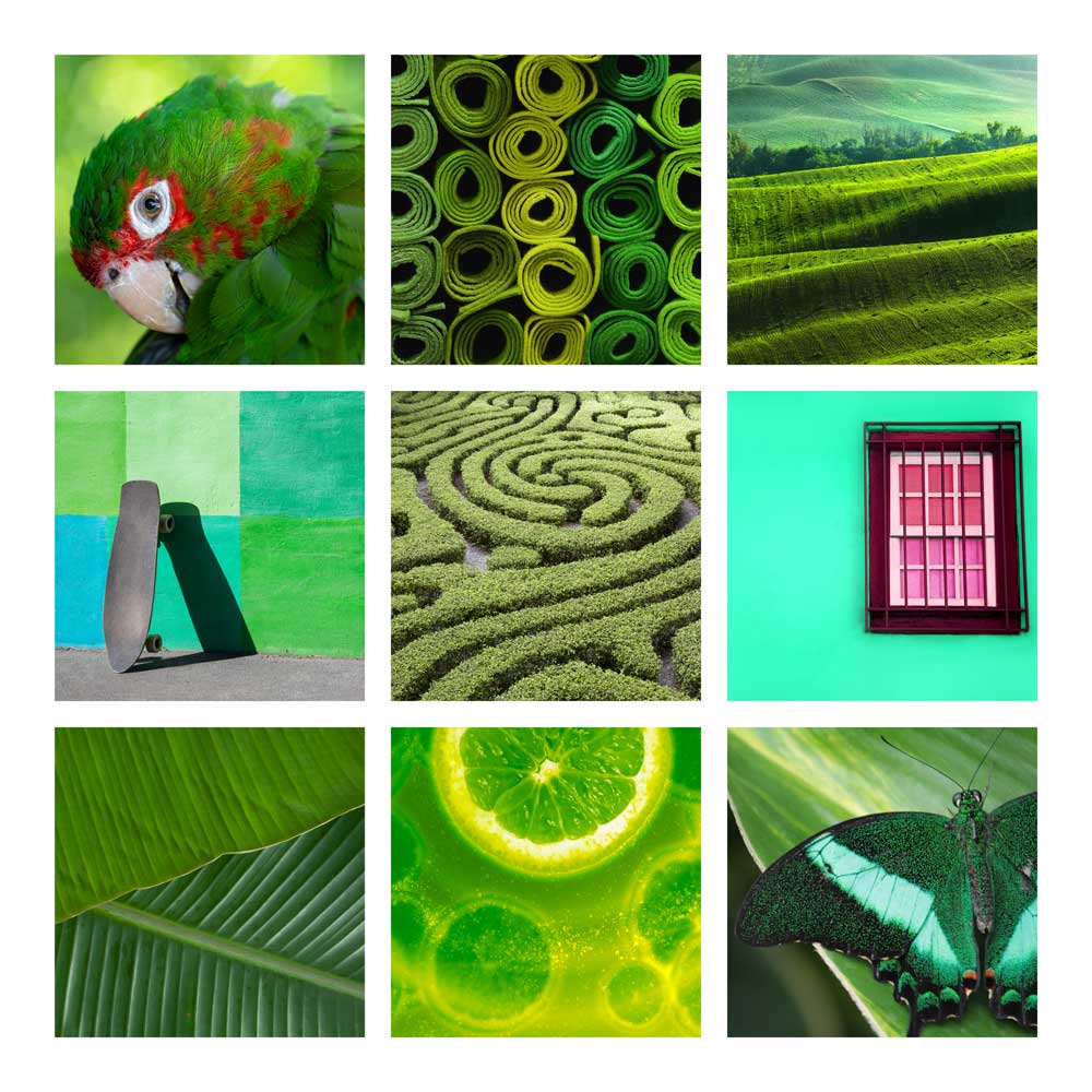 Colour Montages - Green Parade (#CM_14)