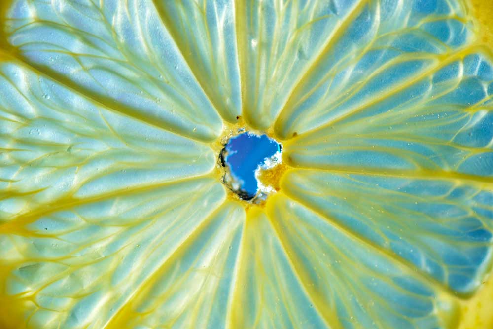 Macro Food - Lemon on Blue (#AA_MFOOD_21)