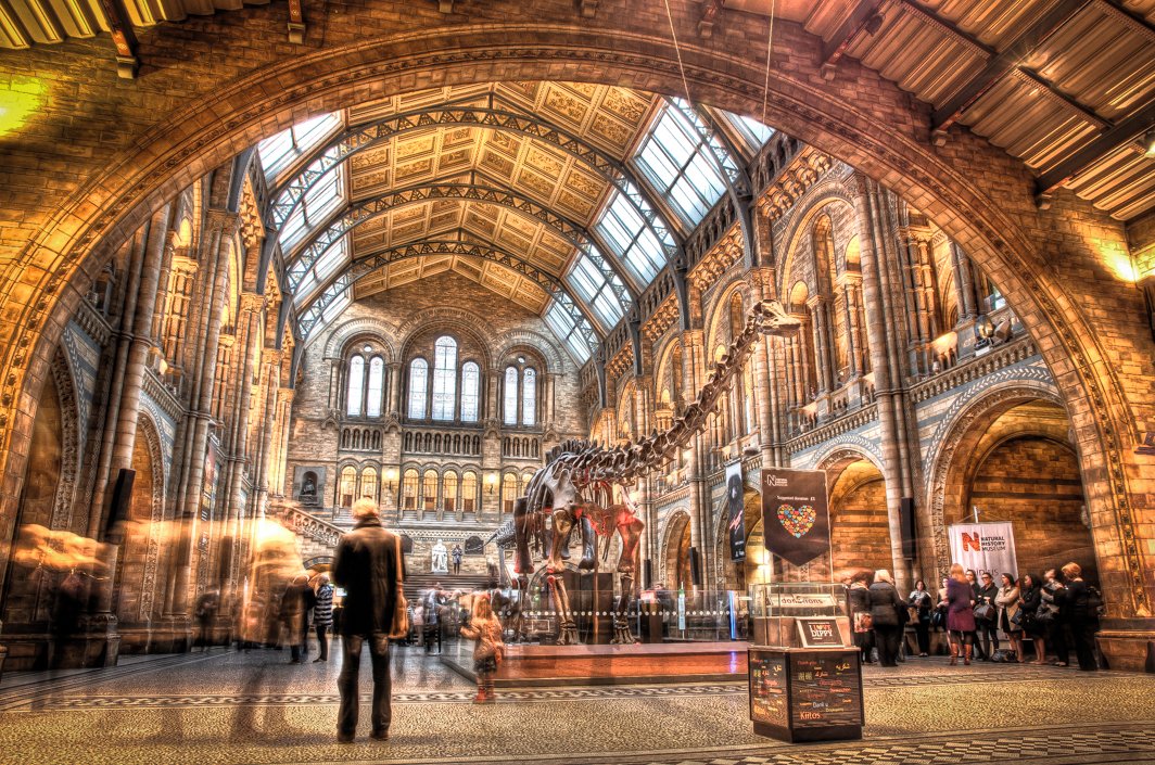 Architectural London - The Natural History Museum (#ARCH_LONDON_07)