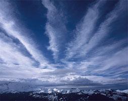 Viewpoints - Untitled (#WYATT_J_1001)