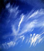 Atmospheric - Untitled (#WYATT_J_1022)