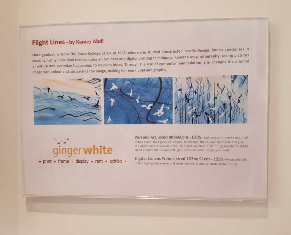 Acrylic Art Label Sleeve for Walls (A5 Landscape, Pack of 10)