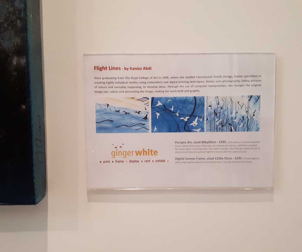 Acrylic Art Label Sleeve for Walls (A5 Landscape, Pack of 10)