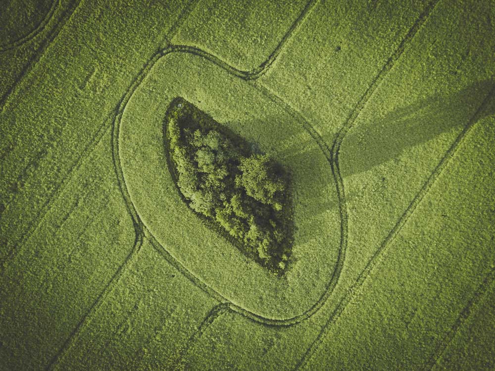 Aerial Views - Top down harvesting field (#AA_AERIALV_05)