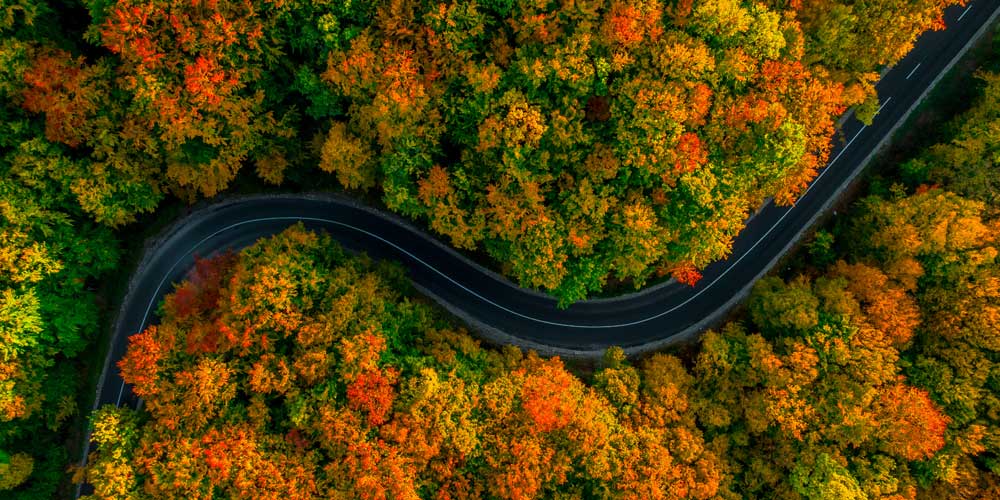 Autumn Scenes - Winding forest road (#AA_AUTS_06)
