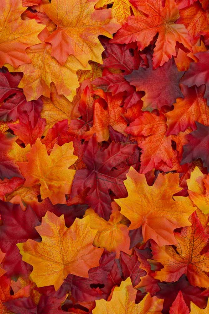Autumn Scenes - Red and Orange Autumn Leaves (#AA_AUTS_11P)