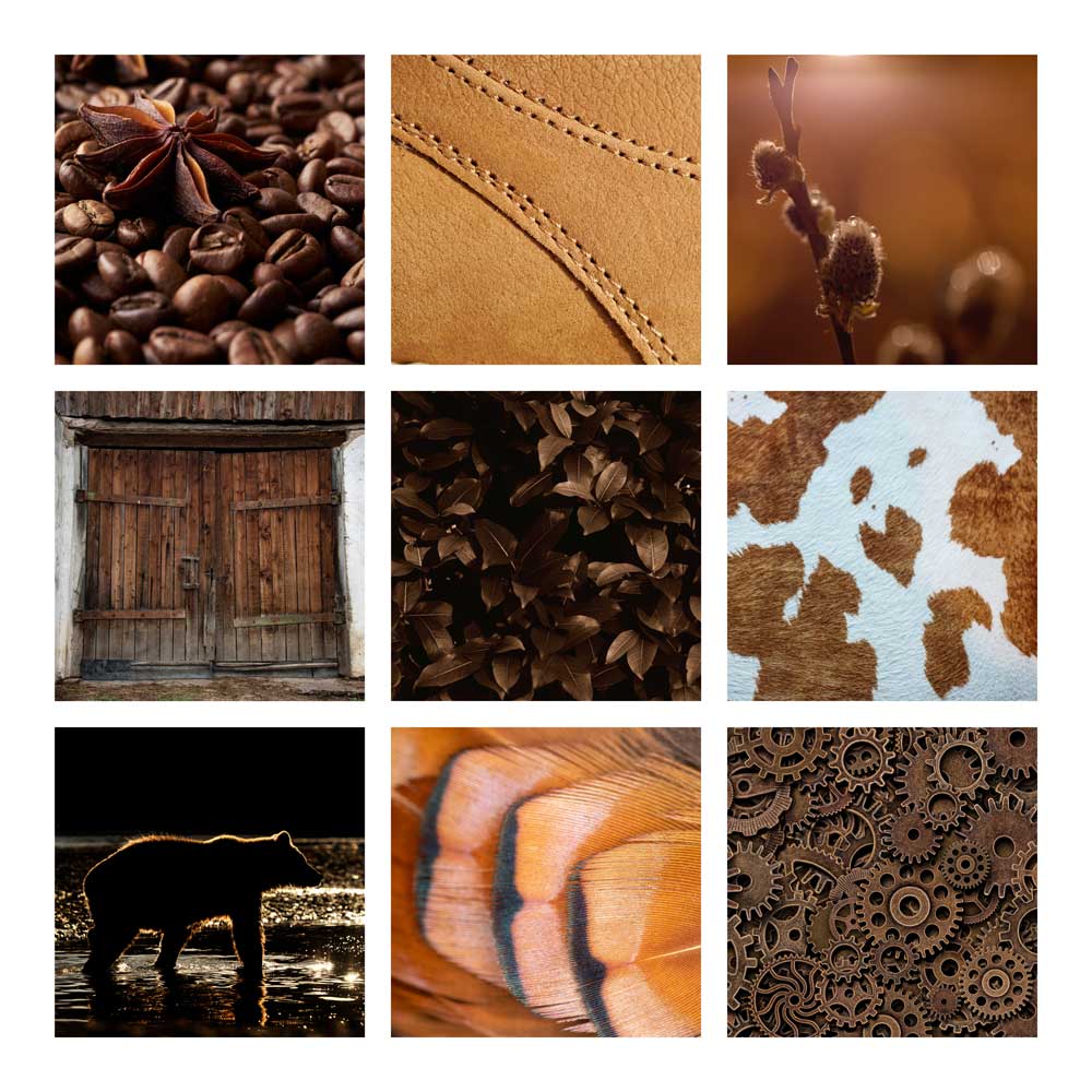 Colour Montages - Earthy Brown (#CM_05)