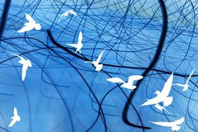 Flight Lines - Untitled (#FLIGHT_LINES_02)