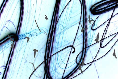 Flight Lines - Untitled (#FLIGHT_LINES_06)