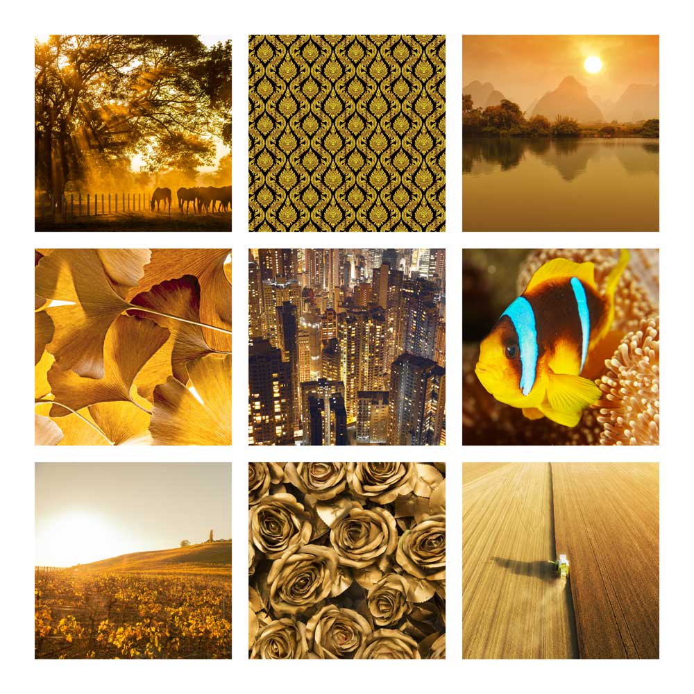 Colour Montages - Fortuna Gold (#CM_06)