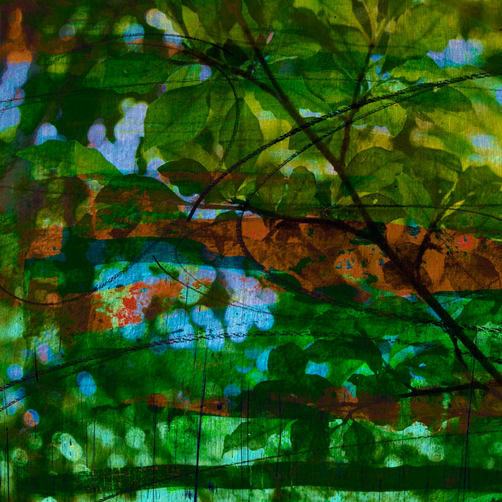 Leaf Out - IV (#AA_LEAFO_04)