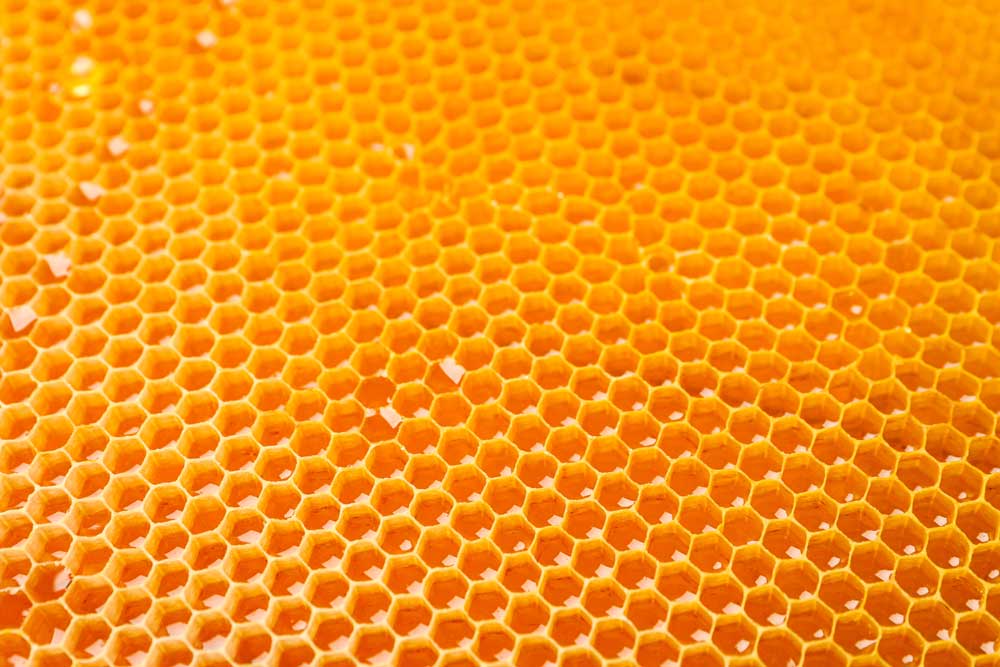 Macro Food - Golden Honeycombs (#AA_MFOOD_20)