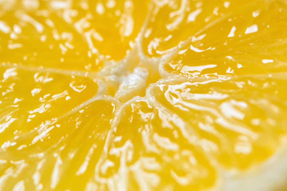 Macro Food - Lemon Abstract (#AA_MFOOD_28)