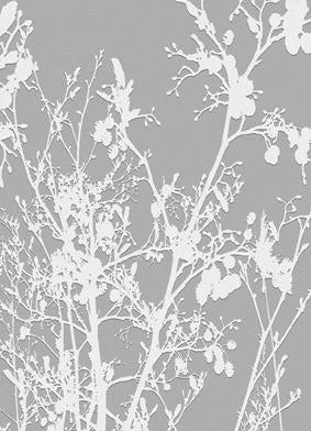 Mono Nature - Untitled (#MONONATURE_07)