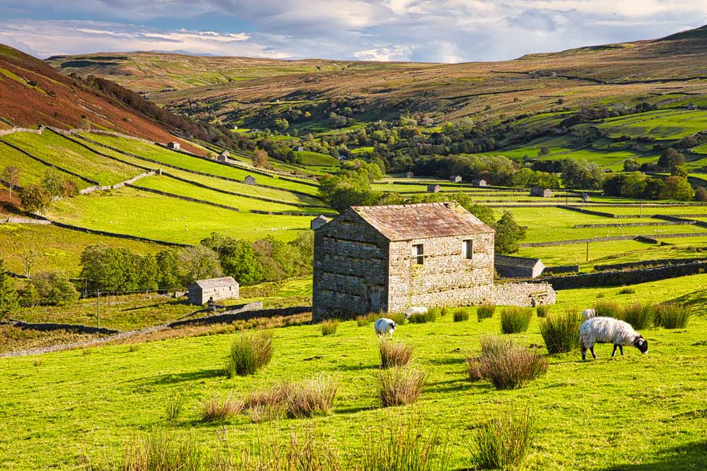 Park Life - Swaledale in Autumn, Yorkshire Dales National Park in England (#AA_NPARKS_03)