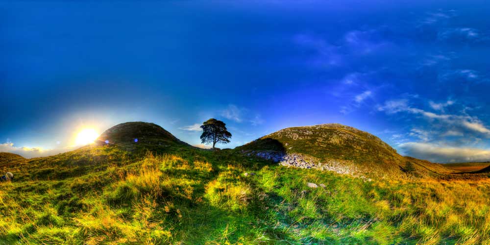 Park Life – Sycamore Gap Tree, Northumberland National Park in England (#AA_NPARKS_15P)