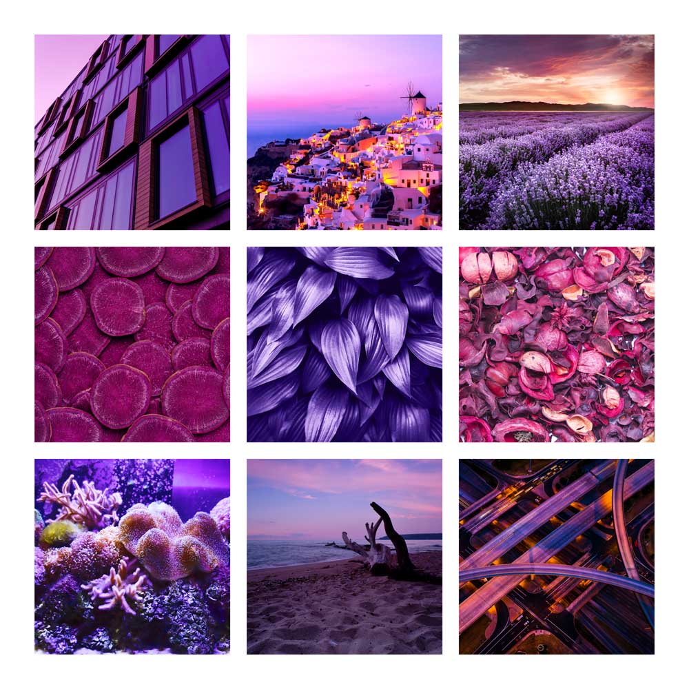 Colour Montages - Purple Balm (#CM_12)