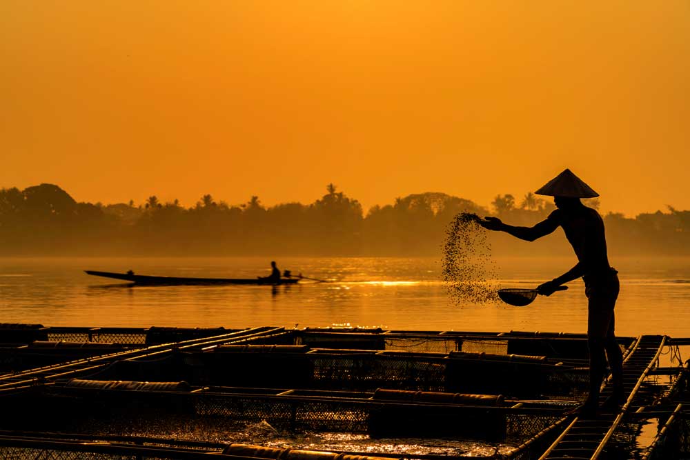 Rivers of the World - Fisherman on the Mekong river, Thailand. (#AA_RIVW_10)