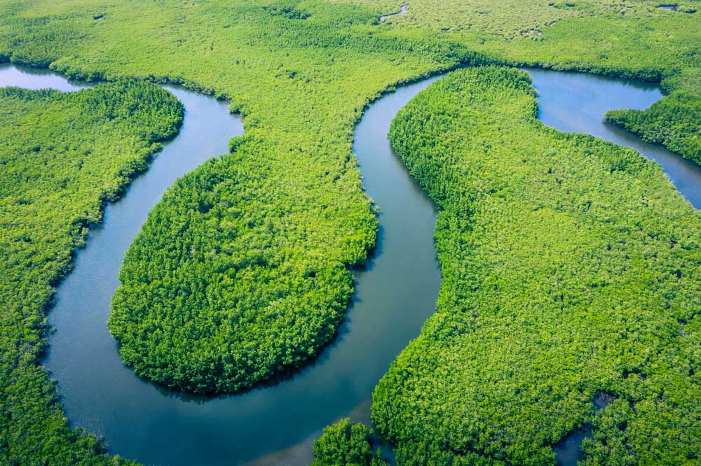 Rivers of the World - Aerial view of Amazon rainforest, South America -  GingerWhite