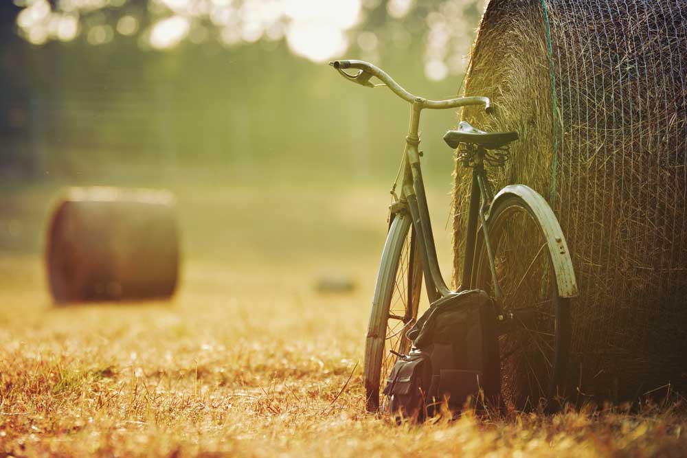 Summer Vibes - Vintage bicycle (#AA_STIME_05)