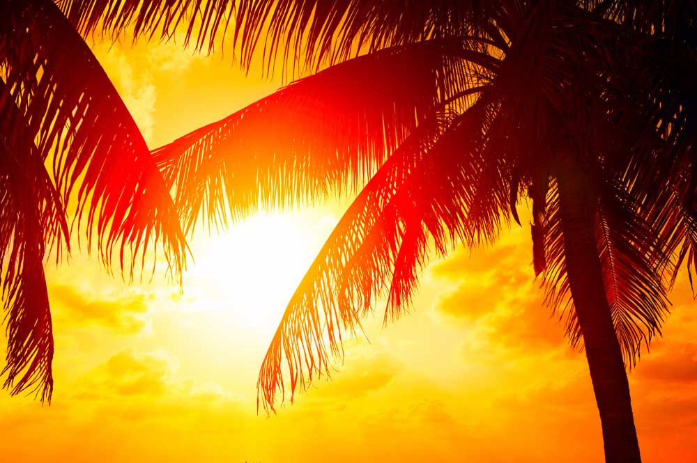 Summer Vibes - Paradise sunset (#AA_STIME_12)