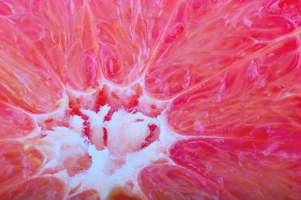 Summer Vibes - Close-up grapefruit slice (#AA_STIME_17)